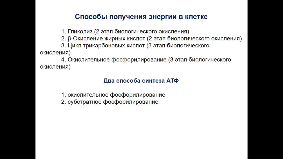 РязанцеваЛТ_25-03_12-00