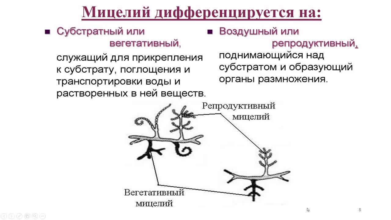 ШвецоваСВ_26-03_14-00