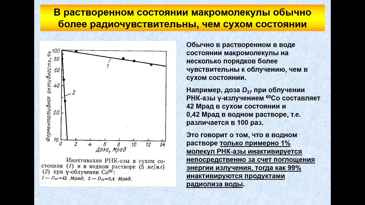 ПолессковаЕВ_07-04_10-00