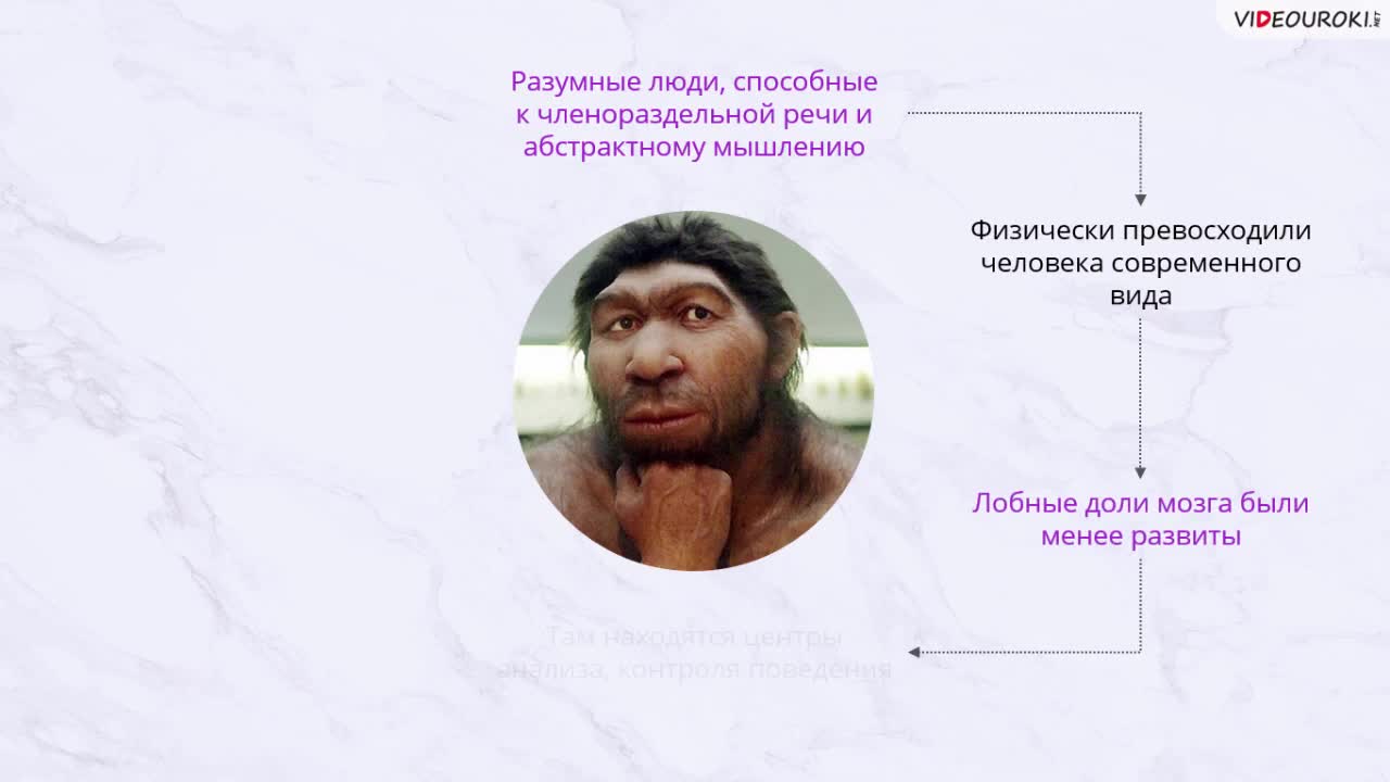 16. Понятие и признаки правового государства.mp4