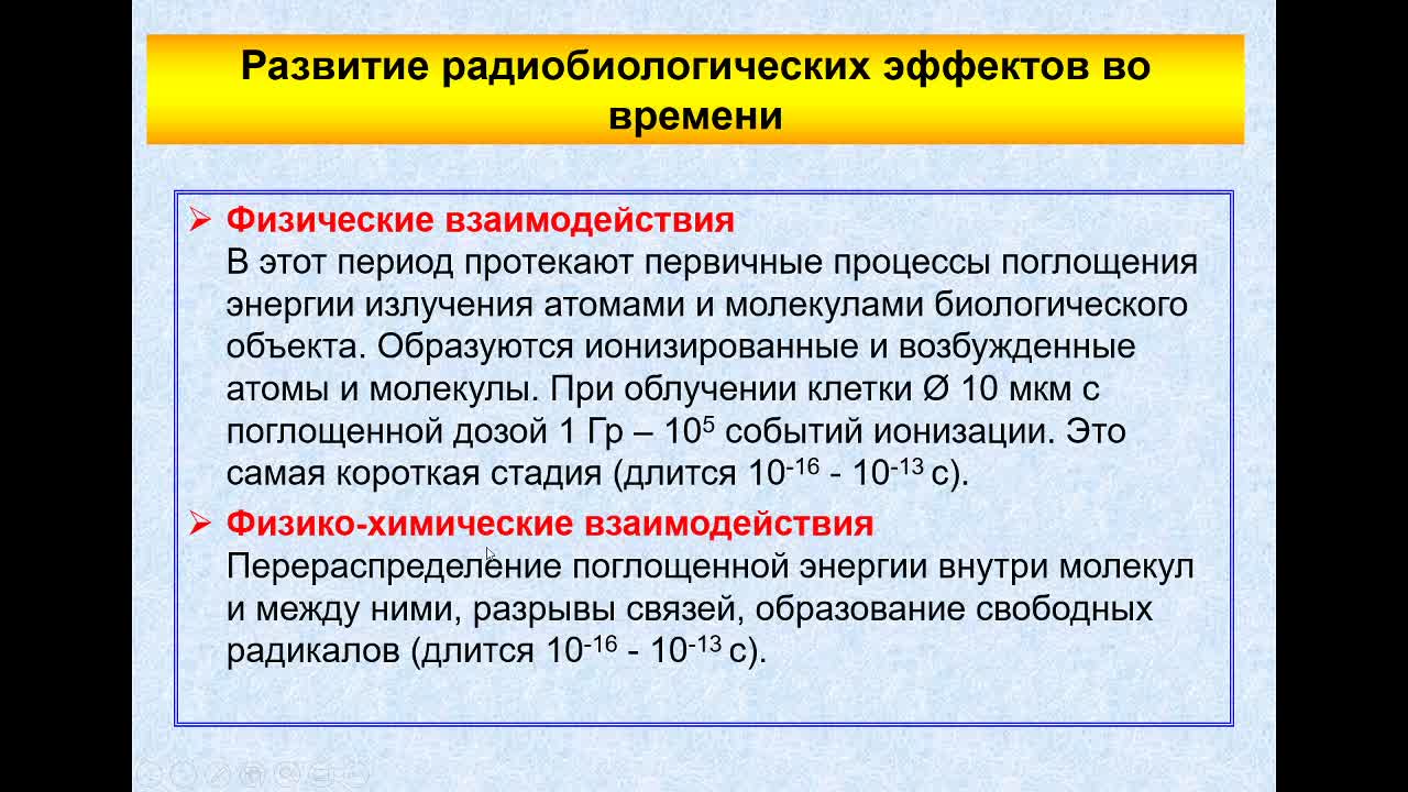ПолессковаЕВ_14-04_10-00