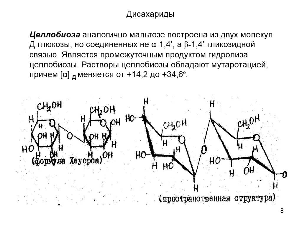 ПоповаЛМ_14-04_12-00 (1)