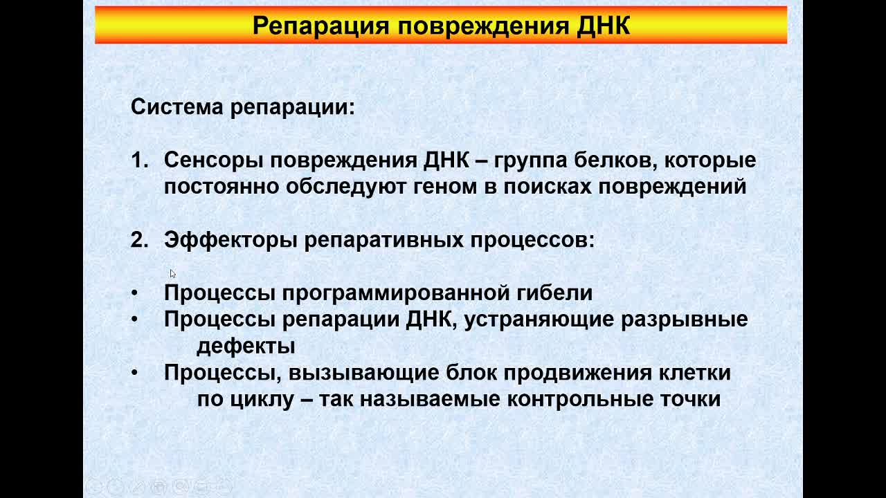 ПолессковаЕВ_21-04_10-00