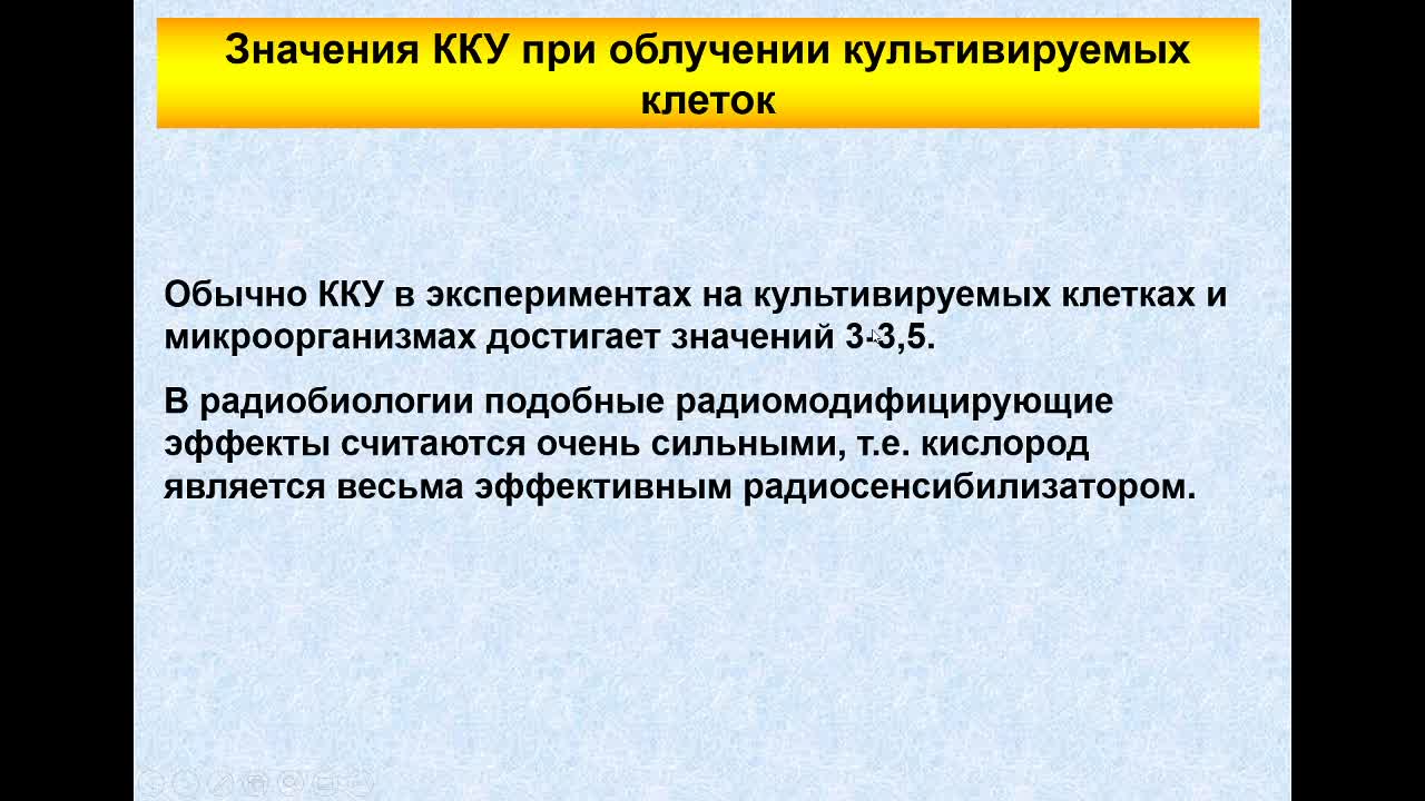 ПолессковаЕВ_28-04_10-00