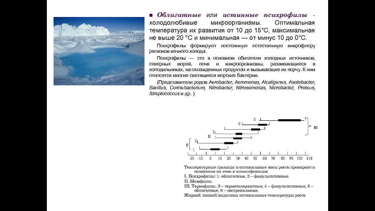 Швецова СВ_30-04__1400