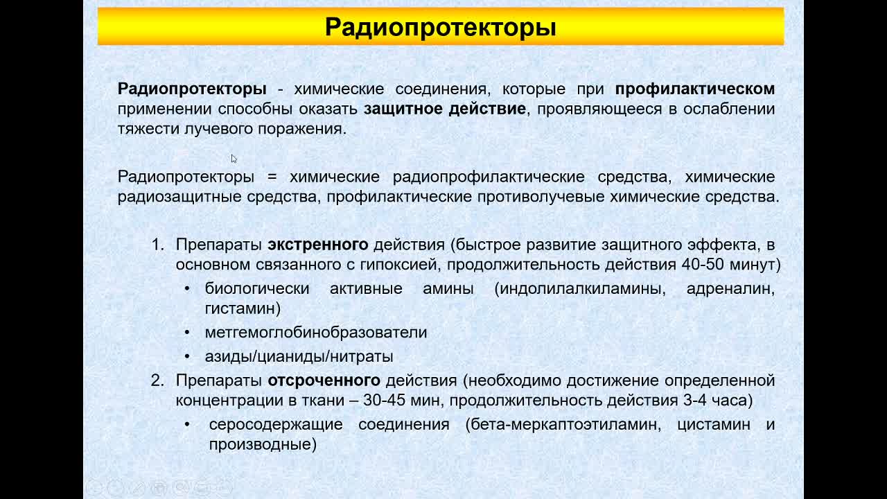 ПолессковаЕВ_12-05_10-00