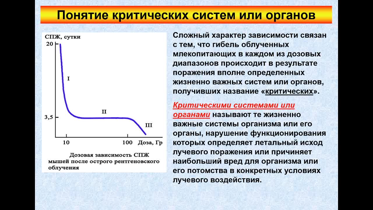 ПолессковаЕВ_19-05_10-00