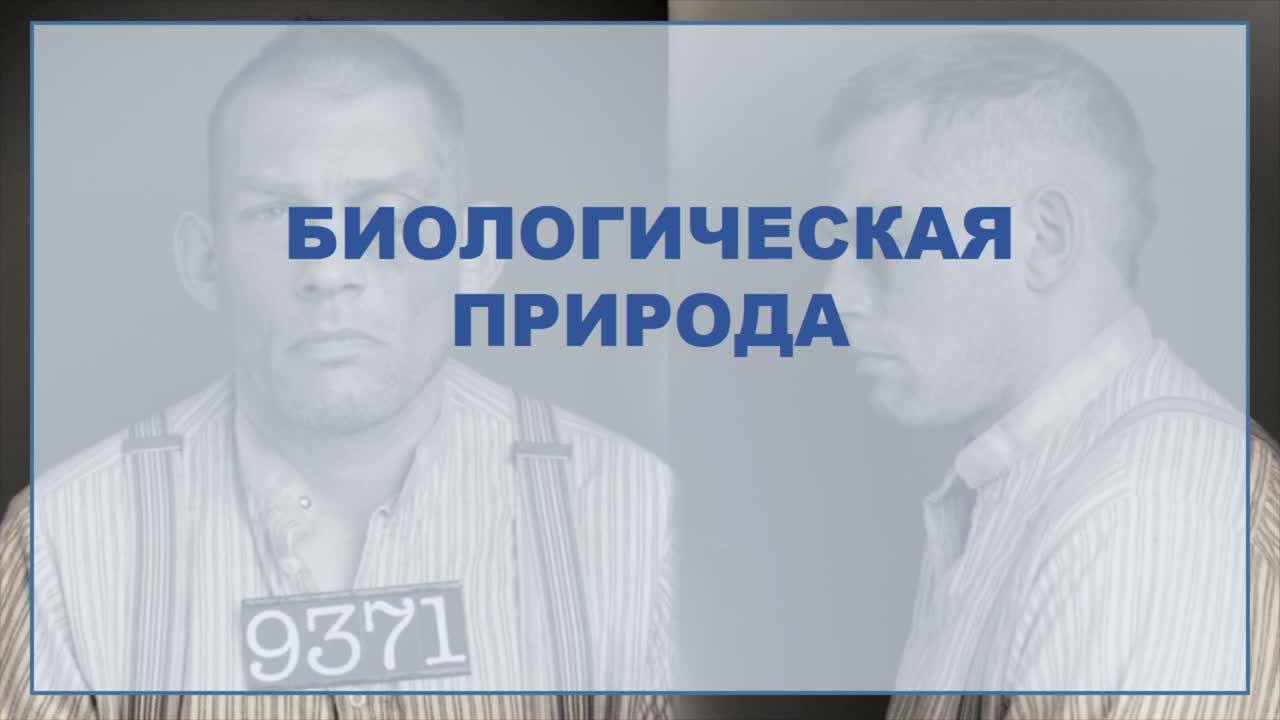 Личность преступника.mp4