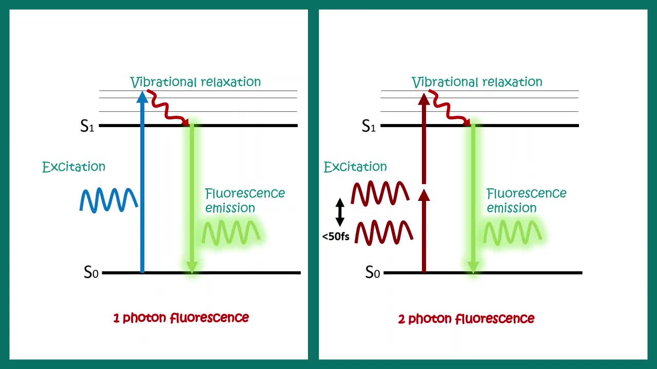 Two Photon microscope _ Working principle of 2 photon microscope _ Advantages of 2 Photon imaging.mp4