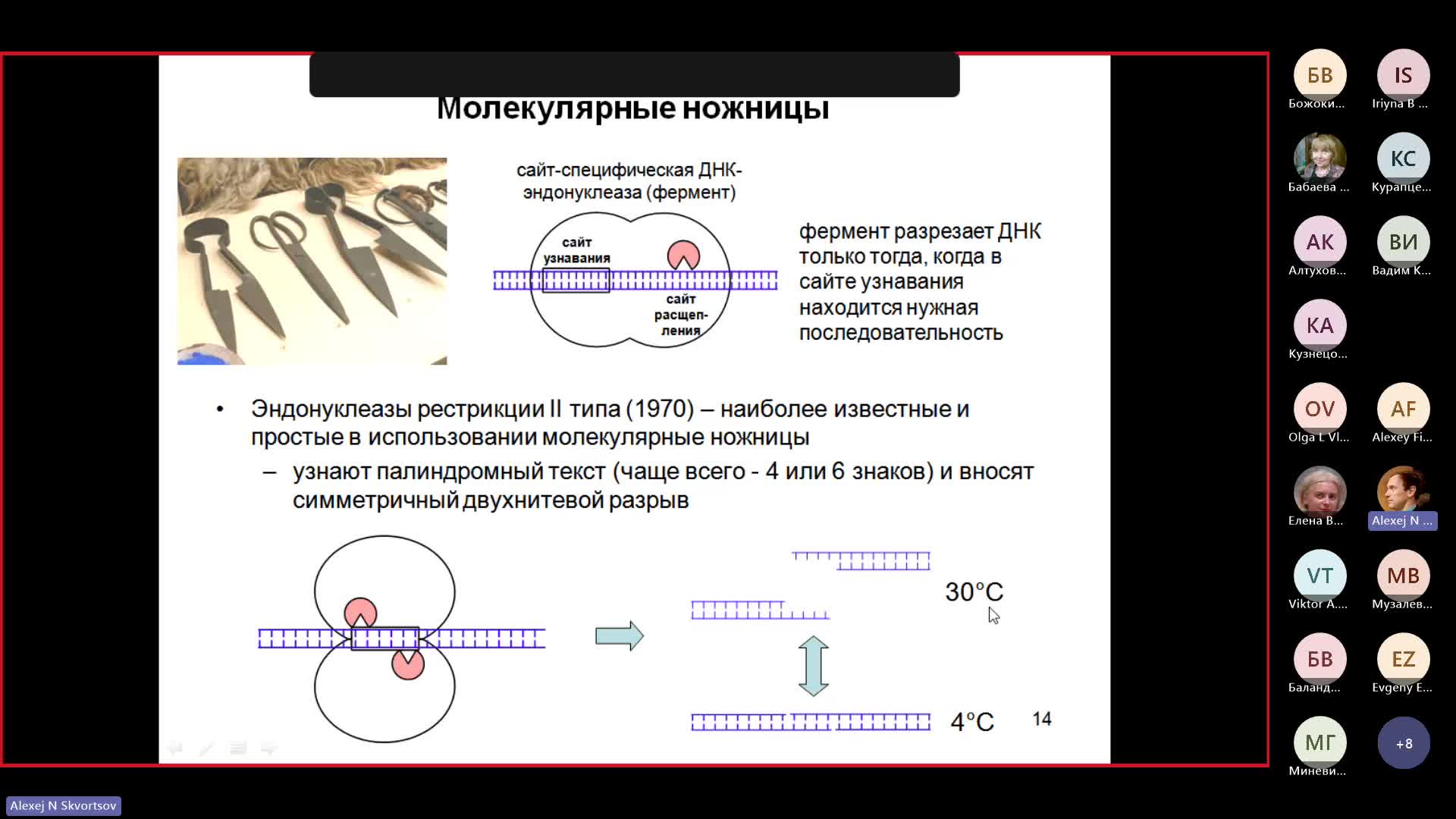 Собрание в канале _General_-20231031_180712-Запись собрания.mp4