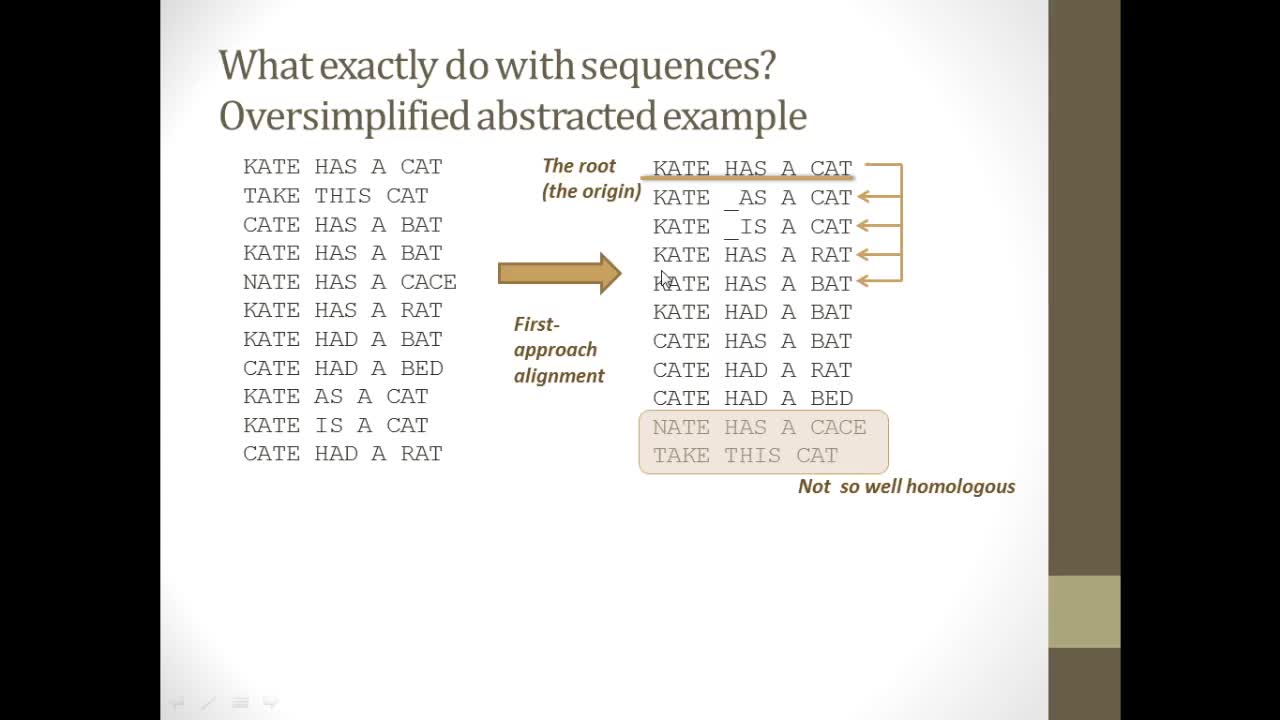 Lecture6_MolEvol_alignment ns.mp4