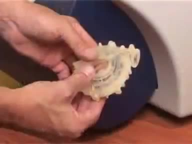 6101 LOM.mp4