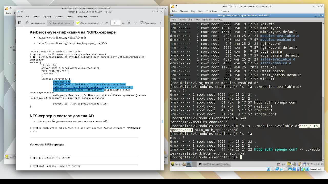 _nginx_kerberos.mp4