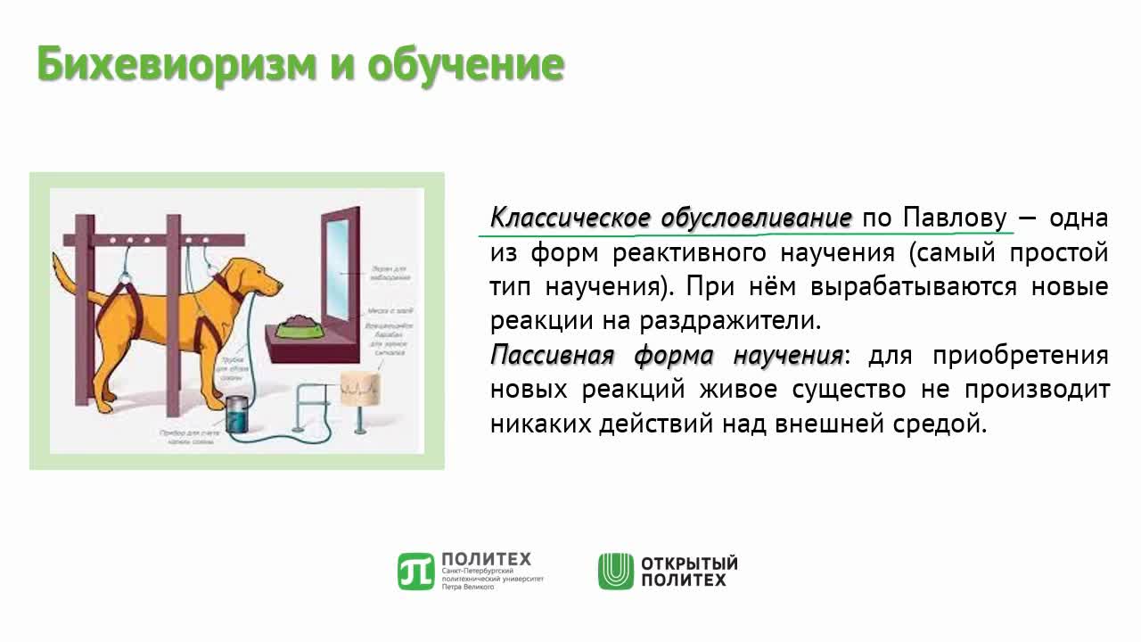 Модуль 3. Урок 3.1 (видео + речь).mp4