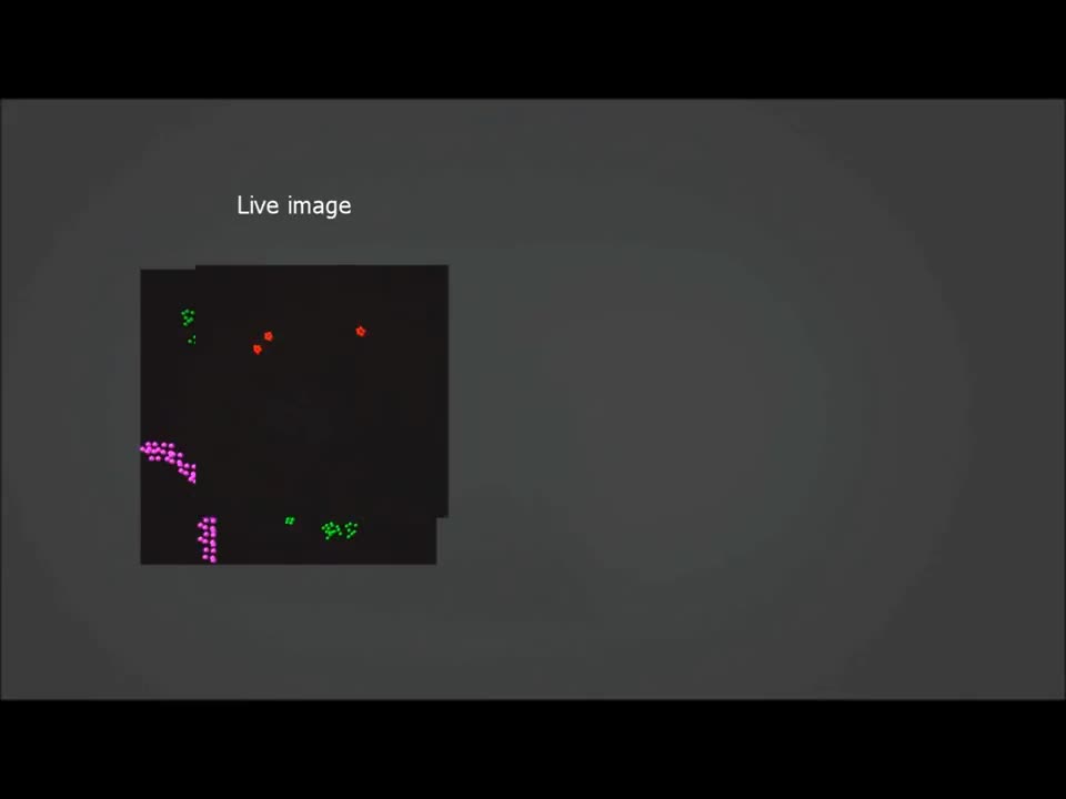 PALM microscopy (photo-activated light microscopy).mp4