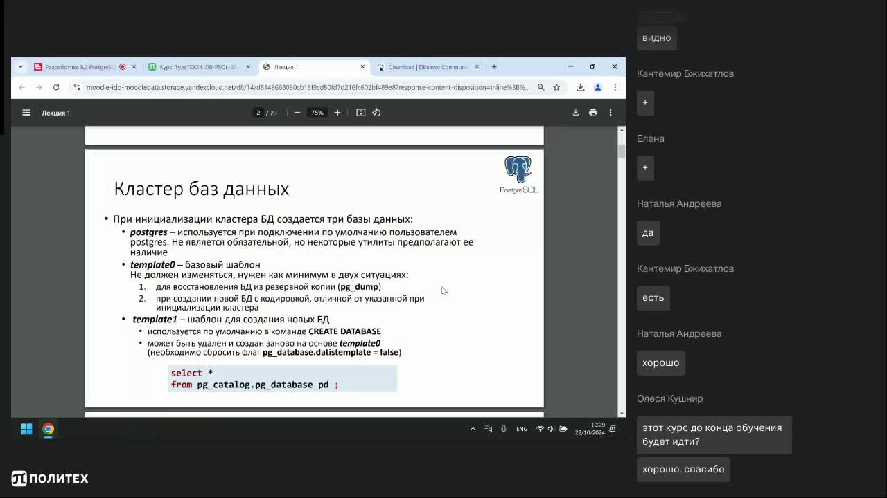 Разработчка БД PostgreSQL.mp4